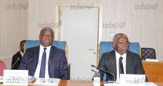 Loi sur les partis et découpage électoral&nbsp;: Ndong Obiang et Immongault face aux députés