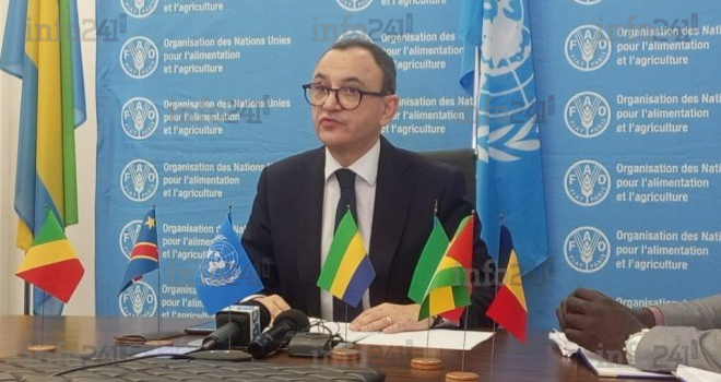 Les experts de la FAO d’Afrique centrale en conclave dès ce 12 avril à Libreville