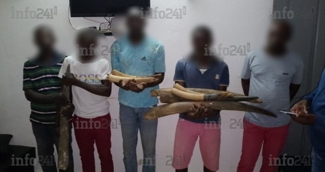 Kango&nbsp;: Cinq présumés braconniers gabonais interpelés avec 9 pointes d’ivoire