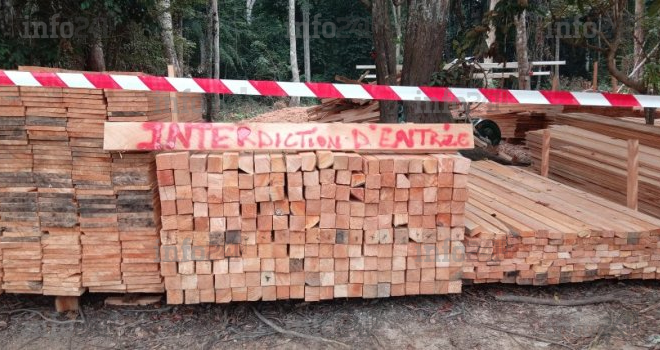 Lambaréné&nbsp;: Un élu local au cœur d’un scandale d’exploitation forestière illégale avec sa famille