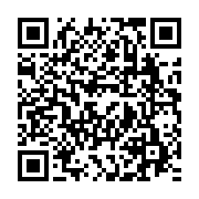 qrcode:https://www.info241.info/ali-est-bete-selon-un-manifestant-pas-comme-les-autres,2177