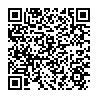 qrcode:https://www.info241.info/mouila-un-gorille-qui-y-semait-la-panique-finit-sa-course-dans,8551