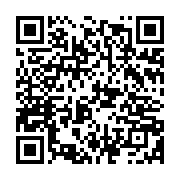 qrcode:https://www.info241.info/mafia-the-old-country-ce-que-l-on-sait-jusqu-a-present,10573