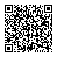 qrcode:https://www.info241.info/marcel-abeke-serait-il-le-parfait-lionel-zinsou-de-la-france-au,4627
