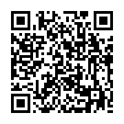 qrcode:https://www.info241.info/les-longs-crayons-de-la-diaspora-et-bongoharam-ali,762