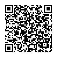 qrcode:https://www.info241.info/le-chat-video-aleatoire-une-combinaison-reussie-entre-les,7596