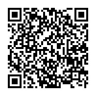 qrcode:https://www.info241.info/le-belge-patrick-claes-abandonne-la-setrag-a-ses-deraillements,4497