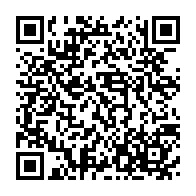 qrcode:https://www.info241.info/reponse-a-leandre-bouloubou-pourquoi-la-candidature-d-ali-bongo,1997