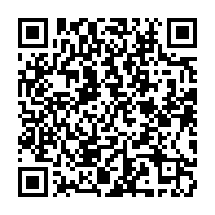 qrcode:https://www.info241.info/l-entrepreneuriat-des-jeunes-en-afrique-quelles-pistes-d,3297