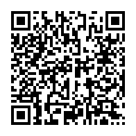 qrcode:https://www.info241.info/louis-aliot-la-francafrique-est-le-pre-carre-du-gaullisme,1742