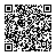 qrcode:https://www.info241.info/gabon-africa-united-airlines-vole-au-secours-d-un-bebe-chimpanze,10795